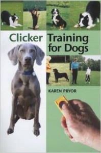 clicker training for dogs