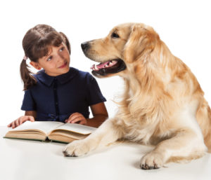 The language of dog training