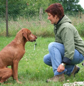 the secret to successful dog training