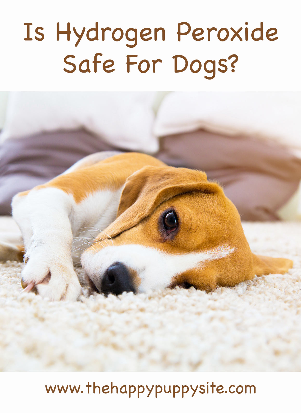 Is Peroxide Safe To Use On Pets For Fleas? - a0k74ge