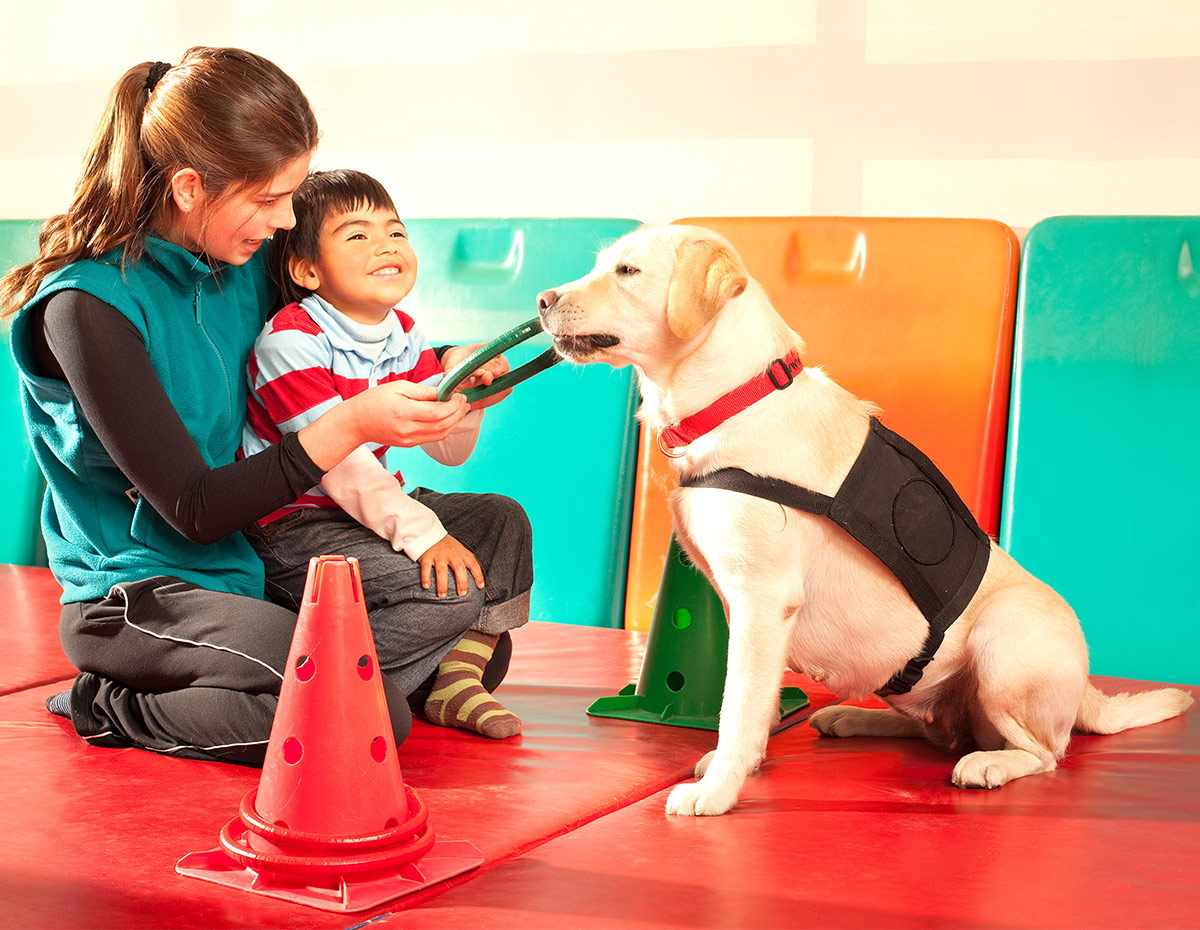 therapy dogs helping children