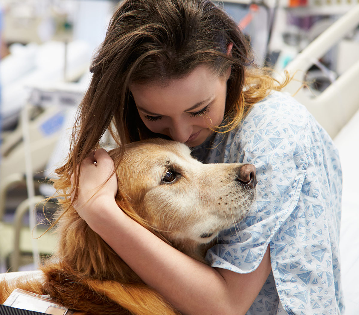 therapy dogs in hospitals