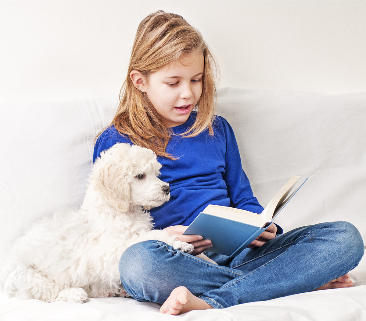 therapy dogs literacy