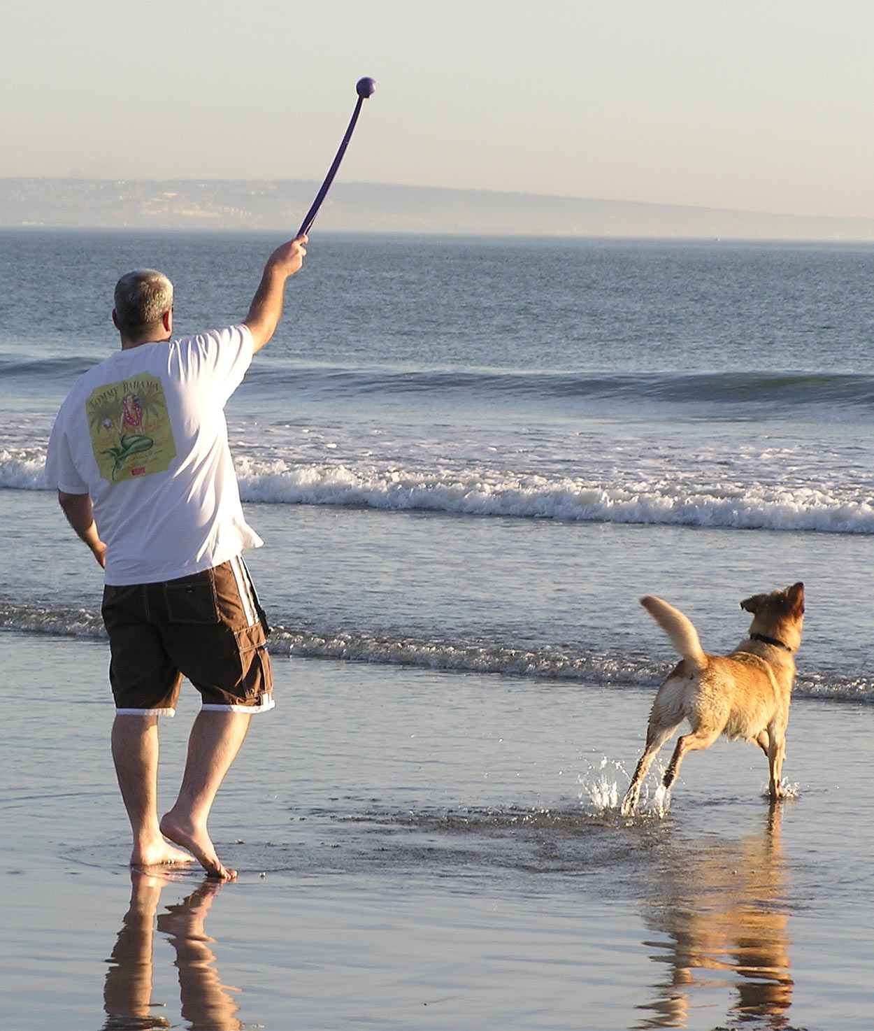 best dog ball thrower